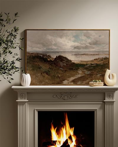 Framed Canvas Wall Art Vintage Decor