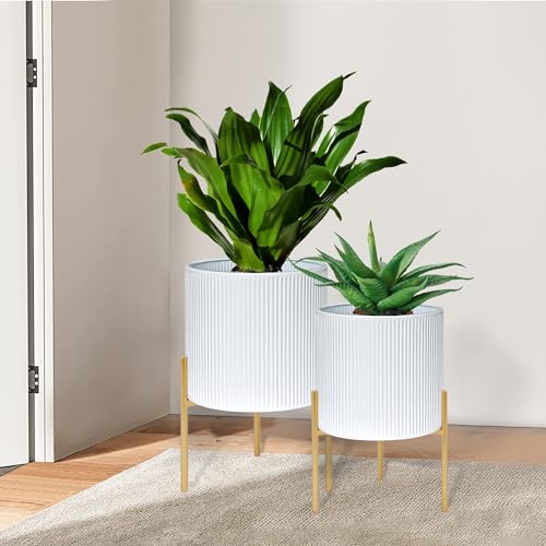 Modern Plant Pots (2 Count)