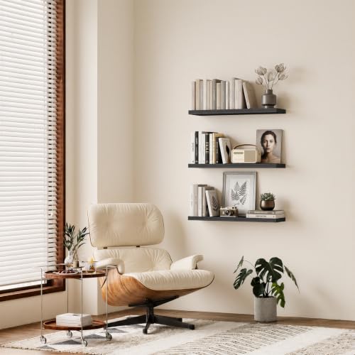 Floating Shelves for Wall