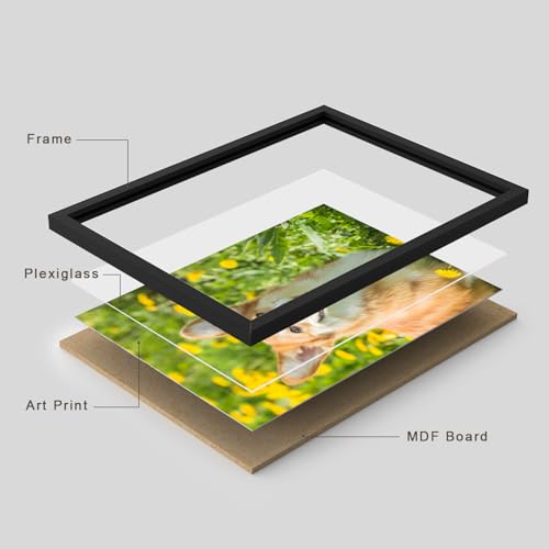 Custom Framed Poster Prints with Your Any Photos