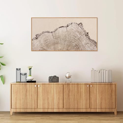 Large Tree Ring Framed Canvas Wall Art