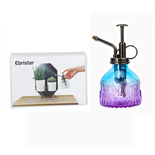 Glass Plant Mister Spray Bottle