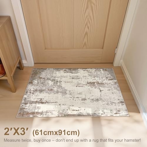 2x3 Entryway Area Rug