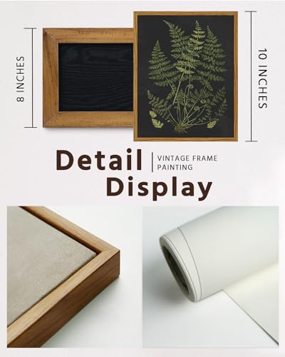 Framed Botanical Wall Art Minimalist Canvas Print