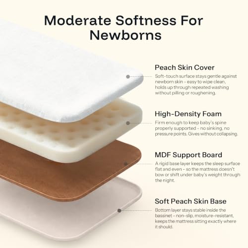 Cuddly Bassinet Bedside Sleeper