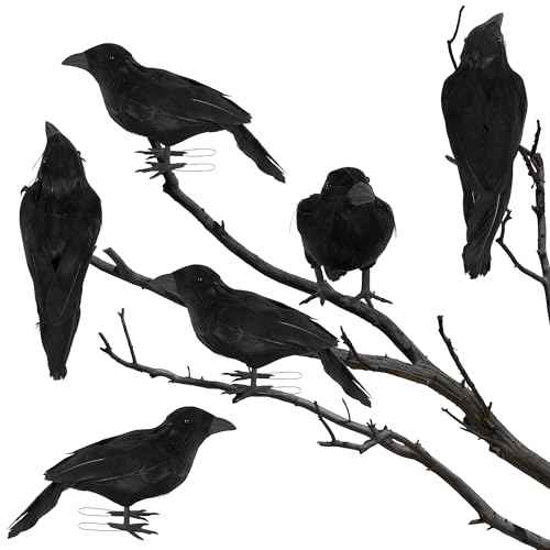 6 Pack Halloween Birds (6 Count)