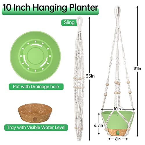 2 Pack 10 Inch Hanging Planters with Macrame Plant Hanger for Indoor and Outdoor Plants (72 Count)