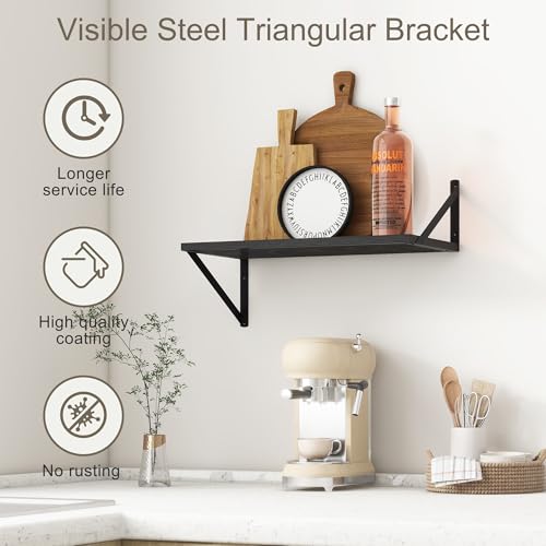 20 Inch Floating Shelves for Wall (2 Count)