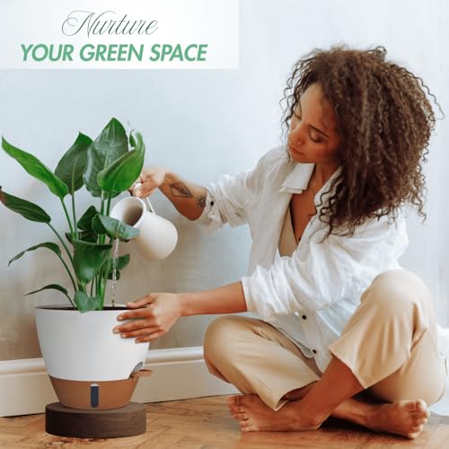 2 Pack 10 inch Plant Pots (2 Count)