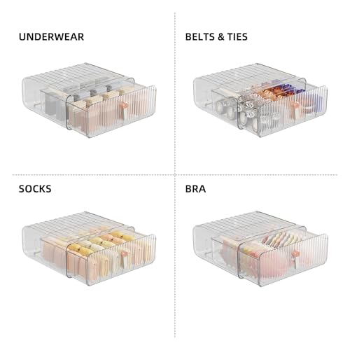Socks Underwear Drawer Organizer Dividers