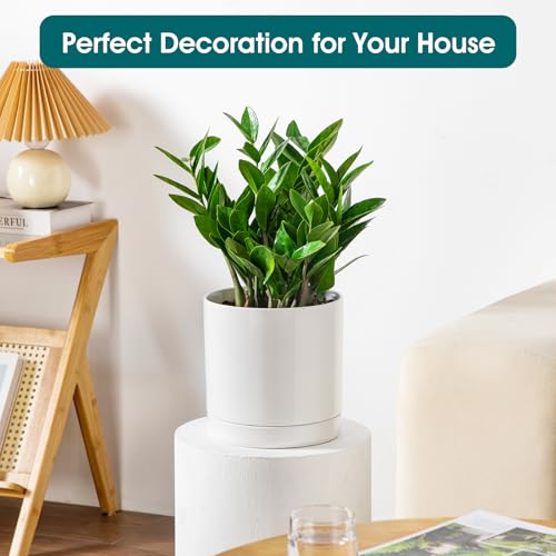 Ceramic Plant Pots