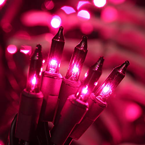 Purple Halloween Lights (21.3 Foot)