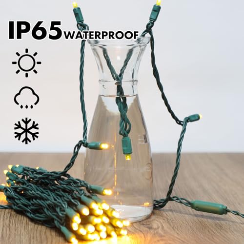 Yellow Christmas Lights Indoor Outdoor (50 Count)