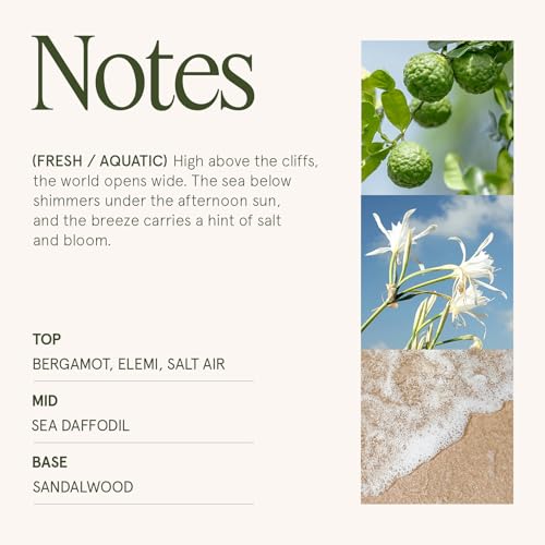 Santorini Salt Air Scented Candles for Home