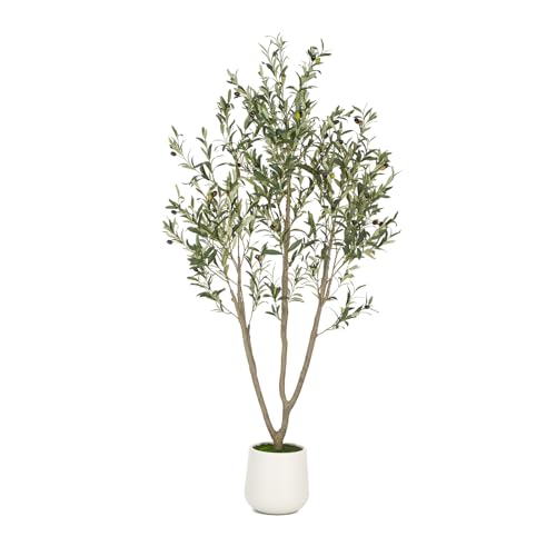Olive Trees Artificial Indoor
