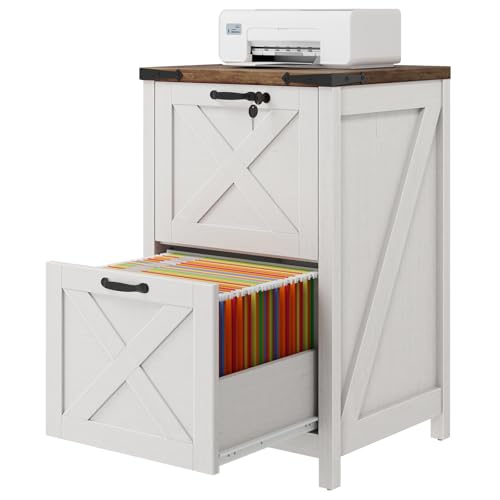 Vertical File Cabinet with 2 Drawers