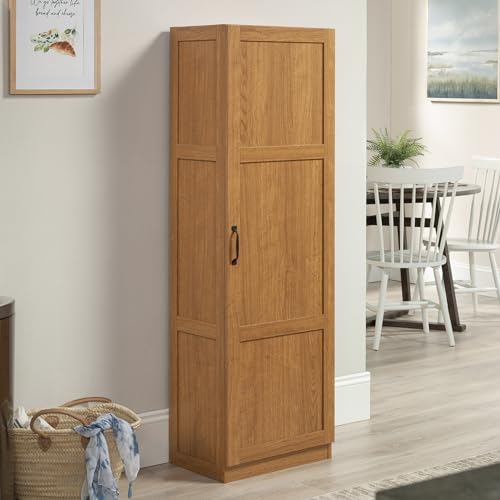 Miscellaneous Storage Cabinet