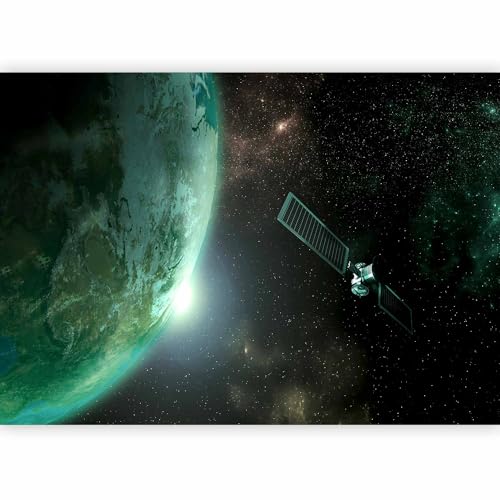 Premium Wall Mural Wallpaper (5 Count)