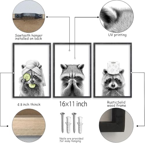 Raccoon Bathroom Wall Art Decor Set of 3 16x11 Inch Black