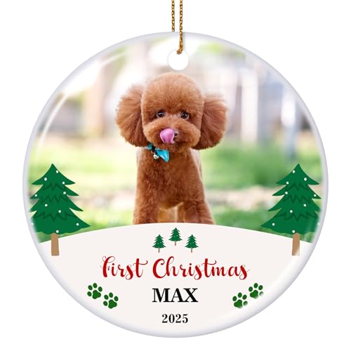 Personalized Christmas Ornament 2025 Custom Pet Memorial Gifts Photo Ornament Dog Cat First Christmas Ornaments Customized Xmas Tree Decorations Keepsake Gift for Dog Lovers