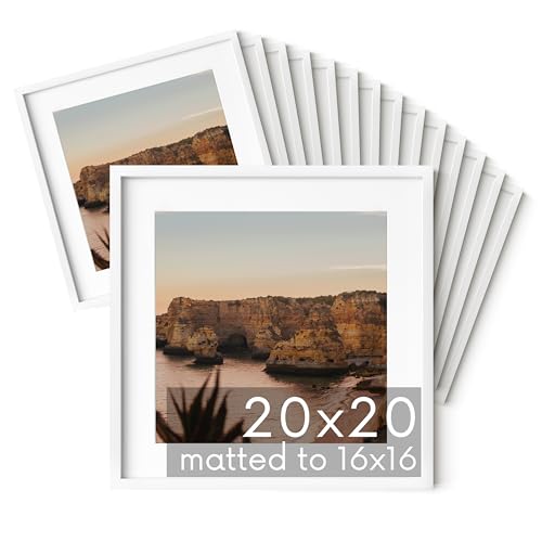 20x20 White Metal Picture Frames Matted to 16x16