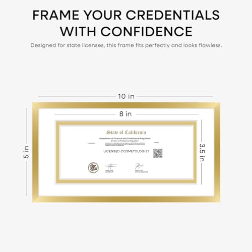 5x10 Gold License Frame (3 Count)
