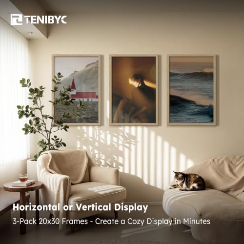 20x30 Poster Frame (3 Count)