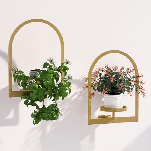Wall Plant Holder (3 Count)