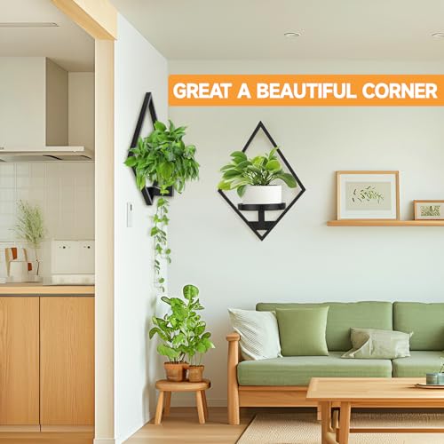 Wall Plant Holder (3 Count)