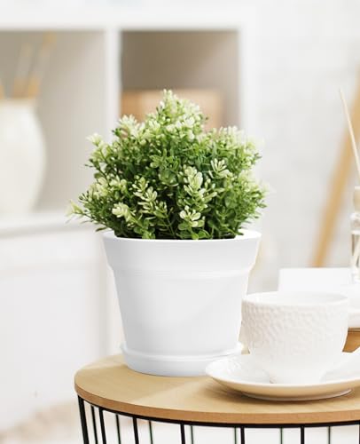 6 Inch Plastic Plant Pots with Drainage Holes and Trays (16 Count)