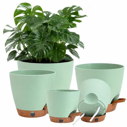 5 Pack Green 5 (5 Count)