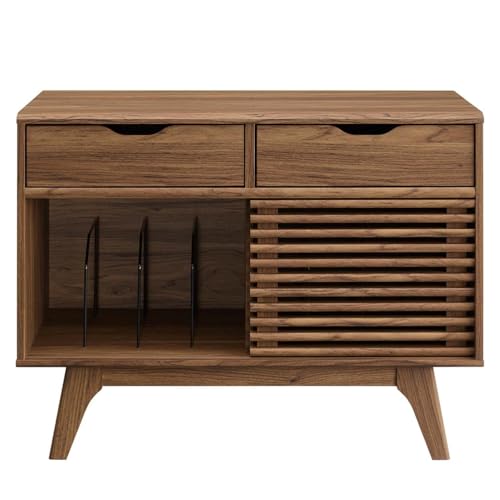 Render Mid Century Modern Vinyl Record Storage Display Cabinet