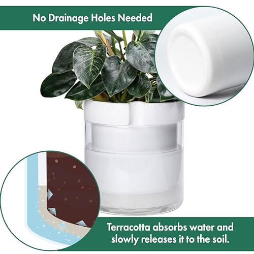 10 Inch Self Watering Planter