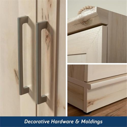 HomePlus Two Door Storage Cabinet