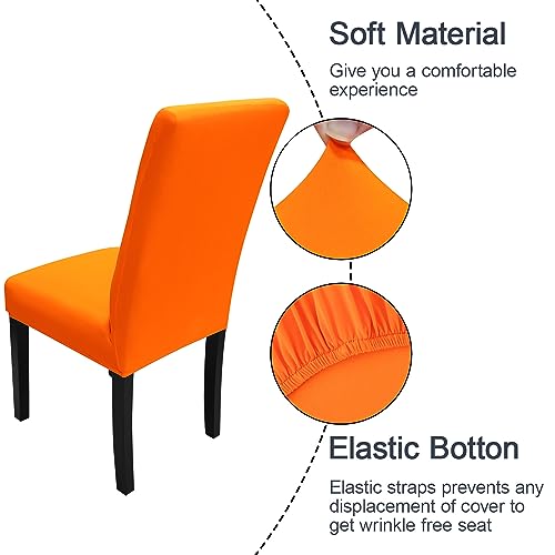 Dining Chair Slipcover