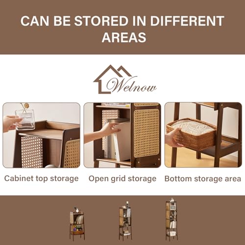 Bamboo Rattan Bookcase with Cabinet (3 Count)