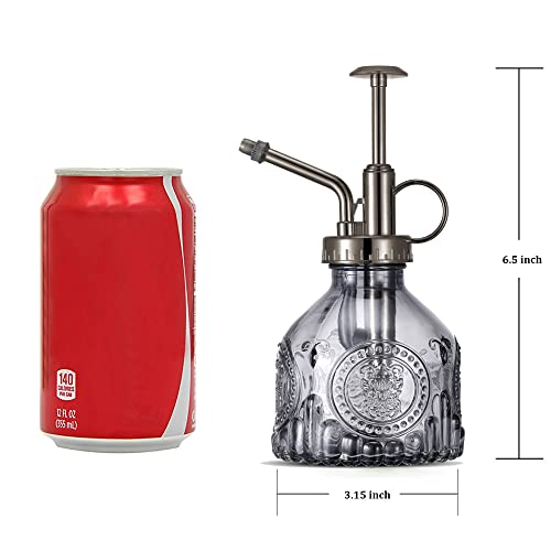 Glass Plant Mister Spray Bottle