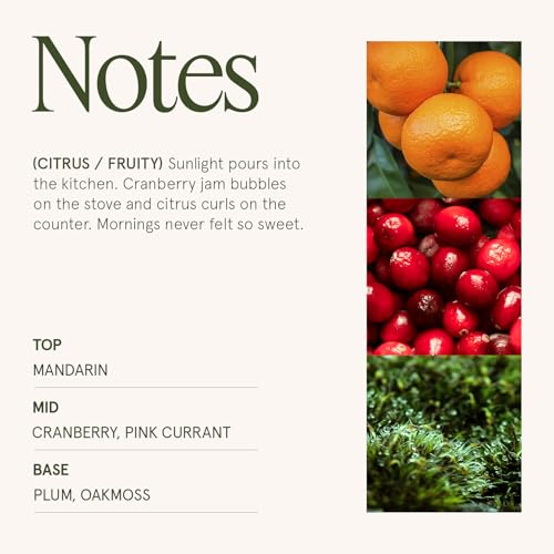 Ruby Berry Bliss Scented Candle for Home