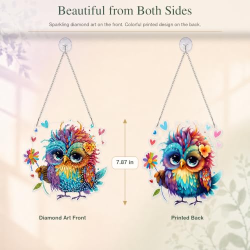 Owl Diamond Art Kits for Adults