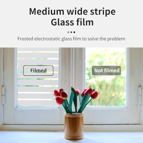 Window Privacy Film Striped with Tools