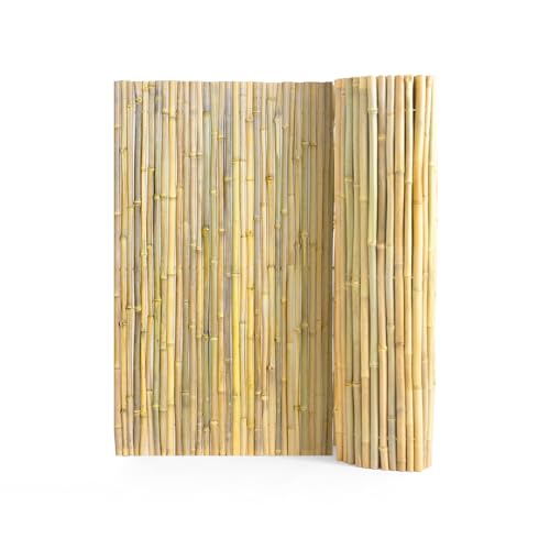 Natural Rolled Bamboo Fence (24 Sq Ft)