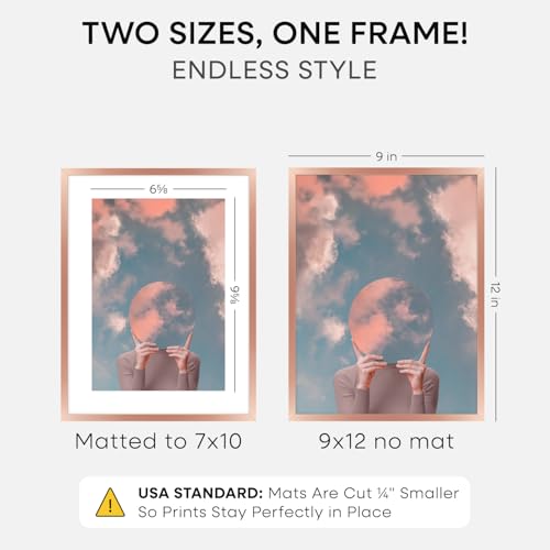 9x12 Rose Picture Frame (2 Count)