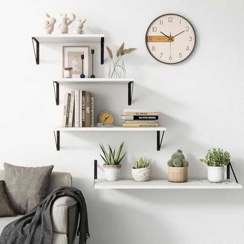 27.5" W x10 D Floating Shelves (2 Count)