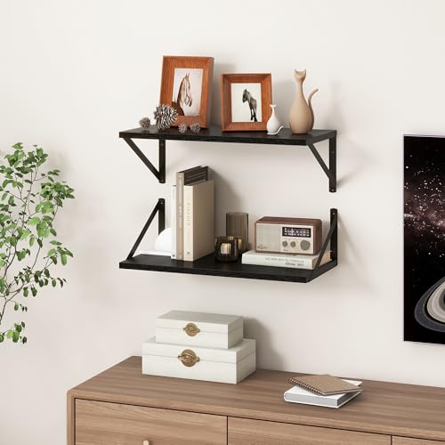 20 Inch Floating Shelves for Wall (2 Count)