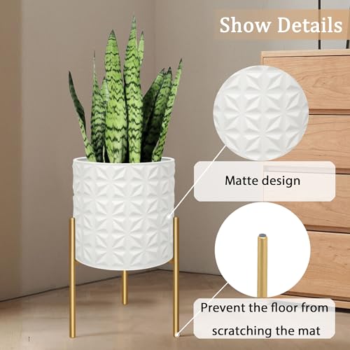 Modern Planter Pots