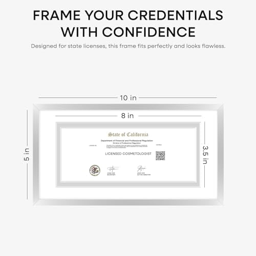 5x10 Silver License Frame (2 Count)