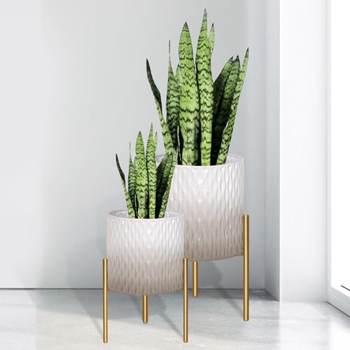 Plants Pots with Stand (2 Count)