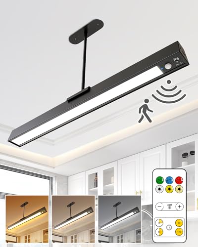 Rechargeable Motion Sensor Ceiling Light
