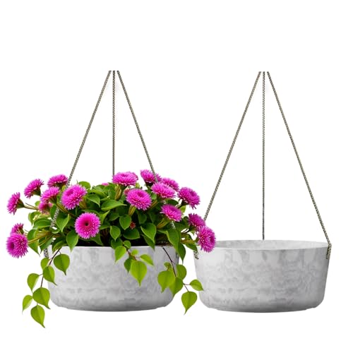 2 Pack 10.7 Inch Hanging Planter for Indoor Plants