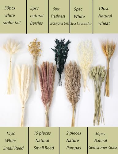 126pcs Dried Pampas Grass Decorations (126 Count)
